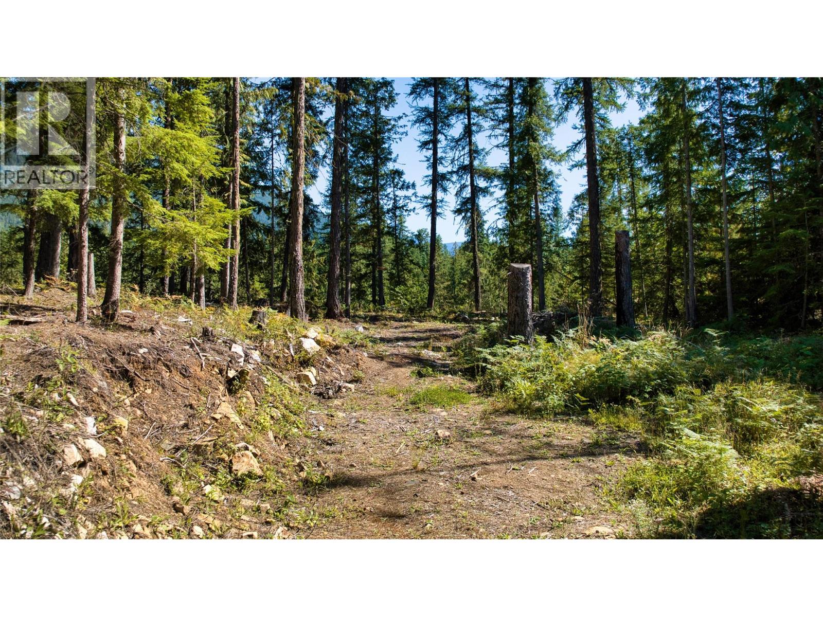 16300 Wadds Road, Crawford Bay, British Columbia  V0B 1E0 - Photo 7 - 10361351