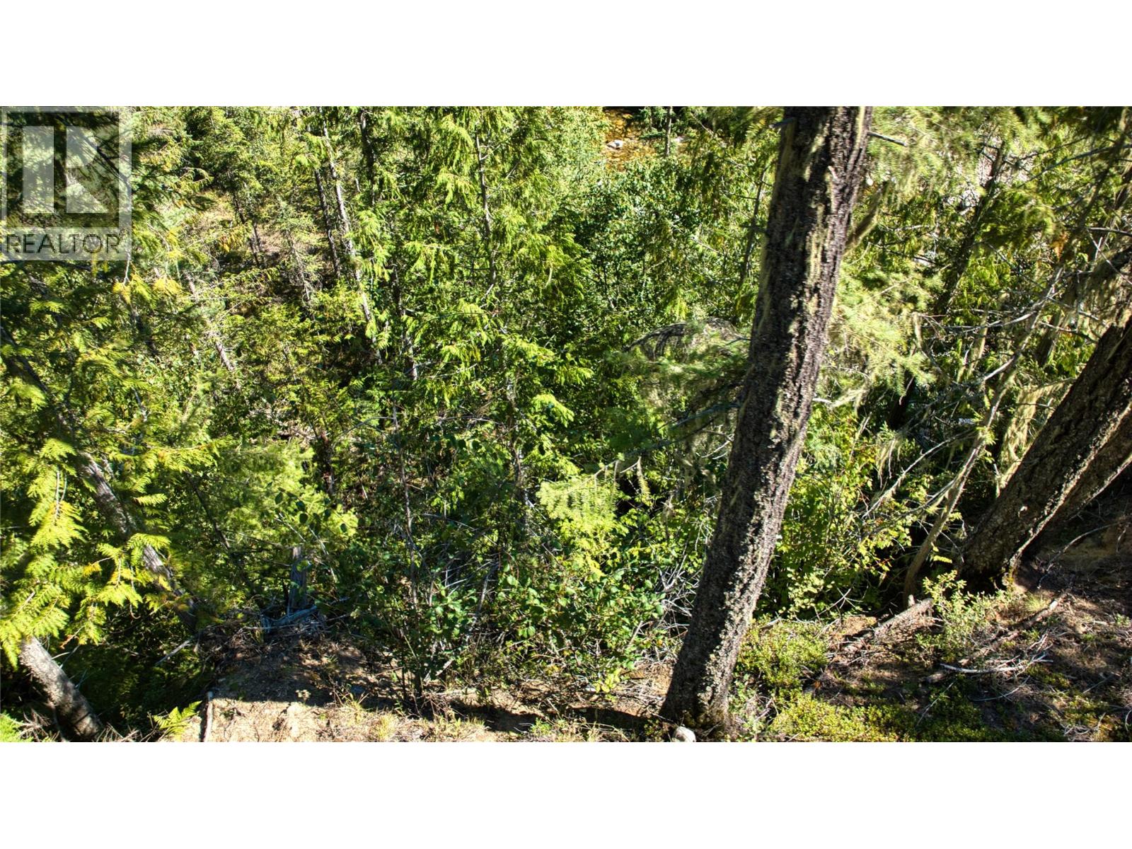 16300 Wadds Road, Crawford Bay, British Columbia  V0B 1E0 - Photo 8 - 10361351