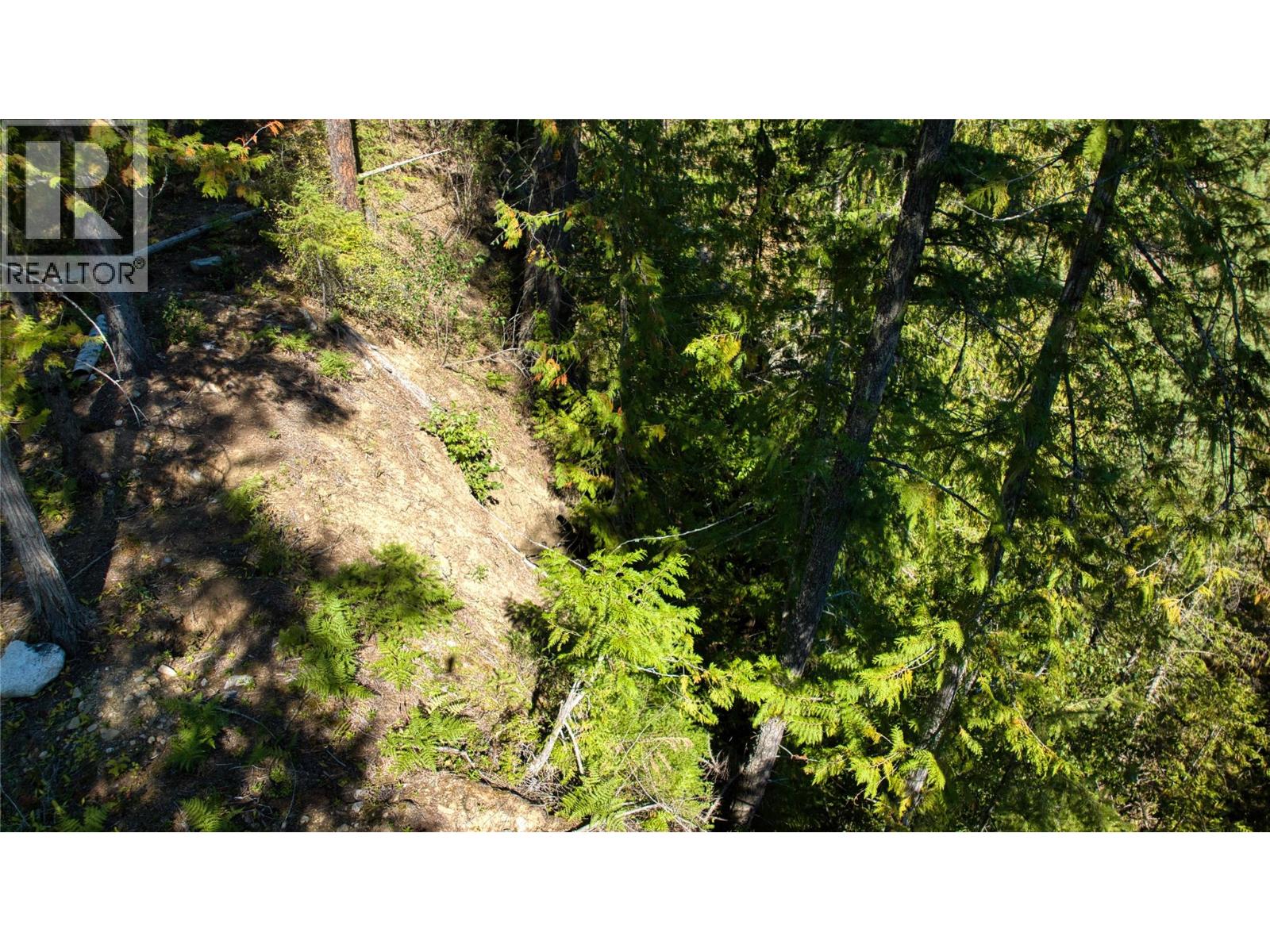 16300 Wadds Road, Crawford Bay, British Columbia  V0B 1E0 - Photo 9 - 10361351
