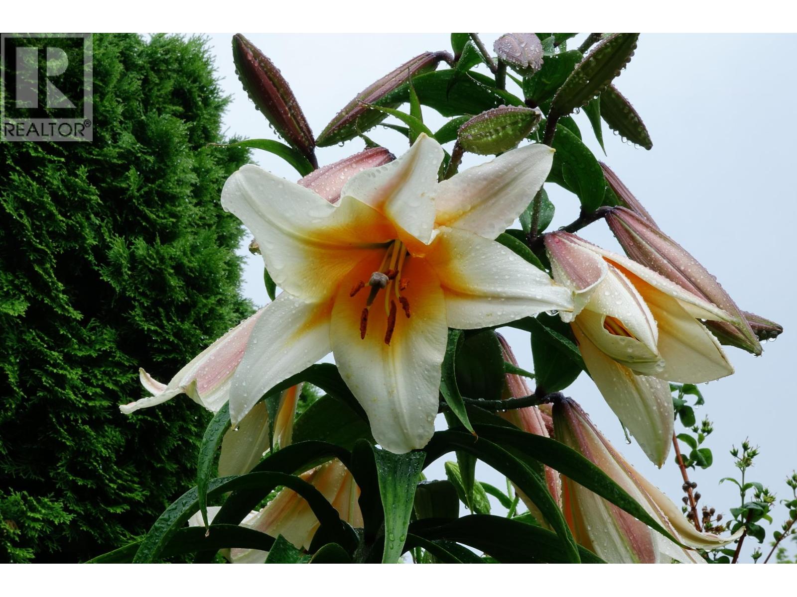 515 Vanderlinde Drive, Keremeos, British Columbia  V0X 1N2 - Photo 58 - 10361472