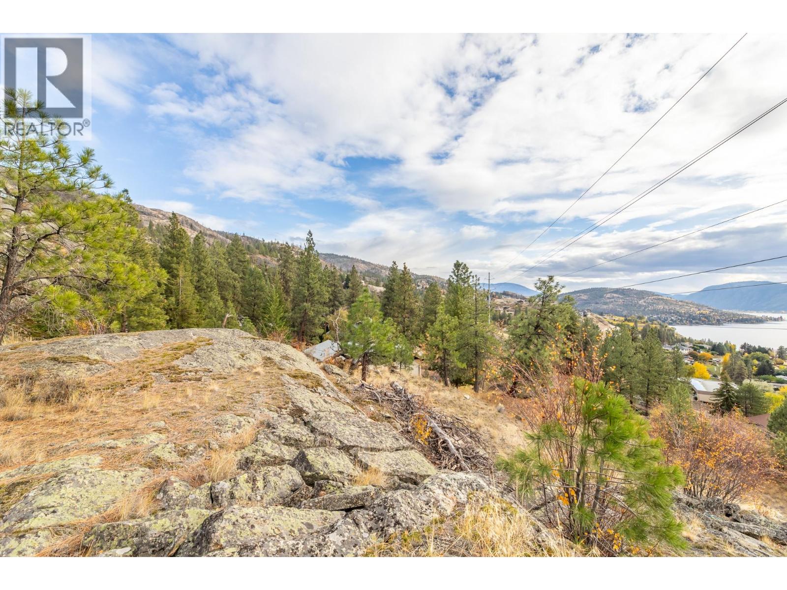 223 Sunnybrook Drive, Okanagan Falls, British Columbia  V0H 1R3 - Photo 40 - 10361501