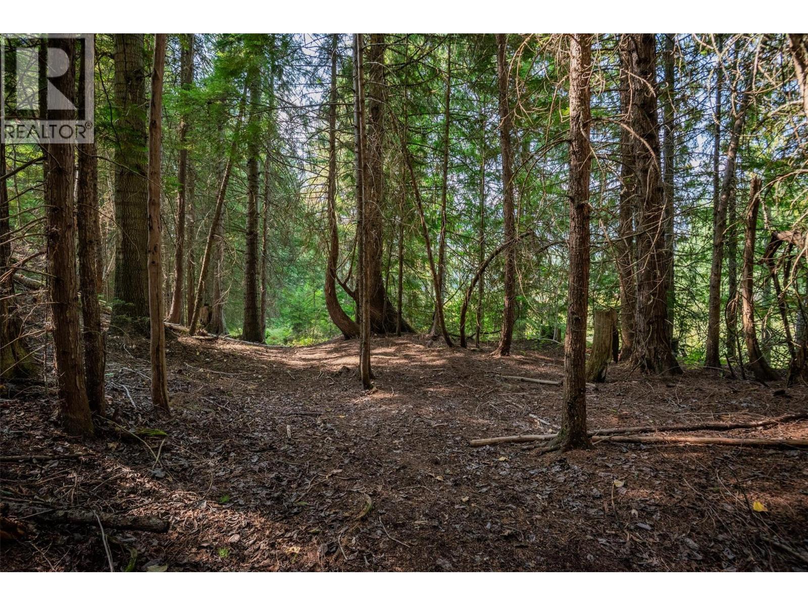 2496 Pass Creek Road, Pass Creek, British Columbia  V1N 4T4 - Photo 44 - 10360843