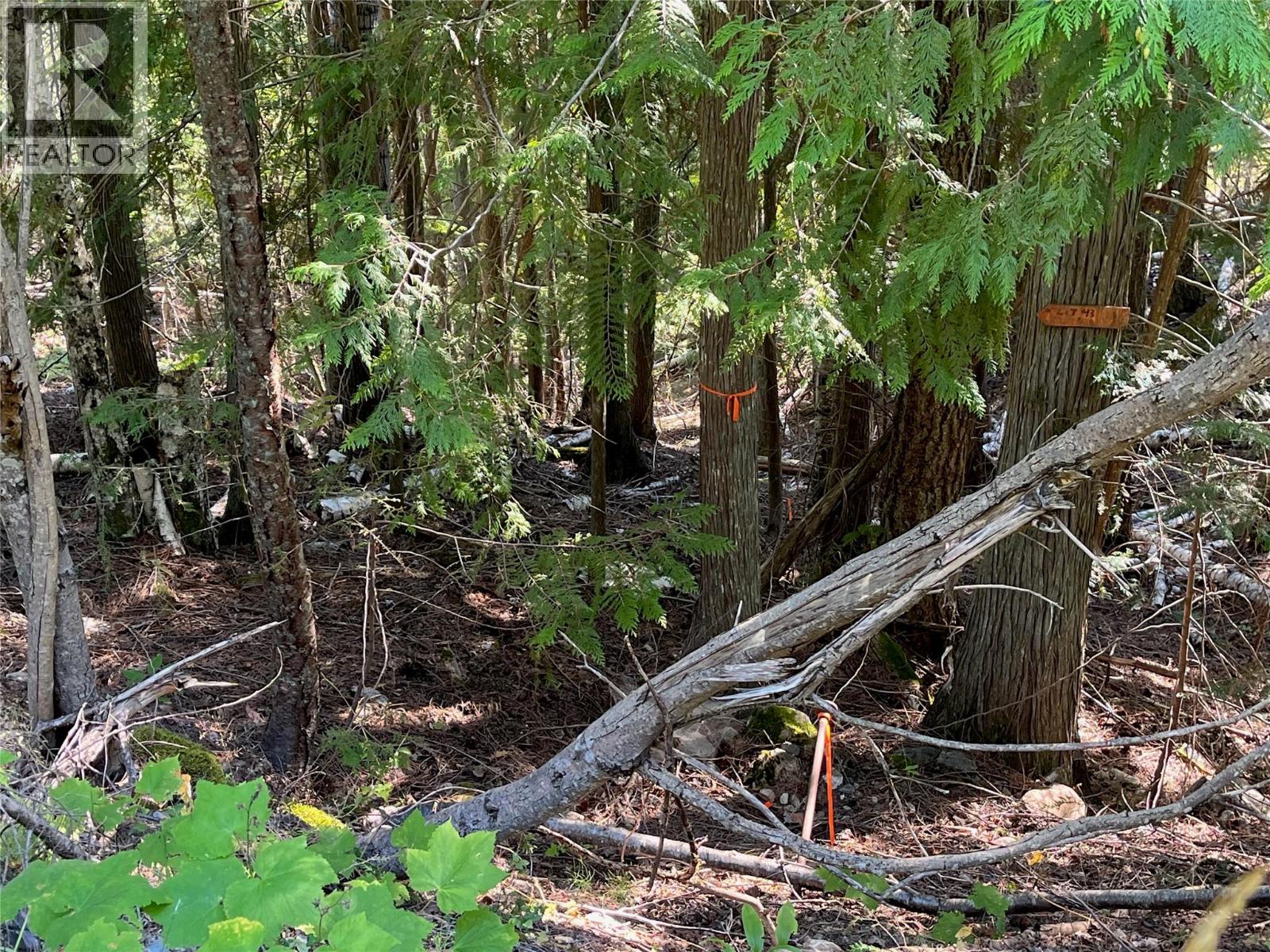 Lot 43 Vickers Trail Lot# 43, Anglemont, British Columbia  V0E 1M8 - Photo 1 - 10361471