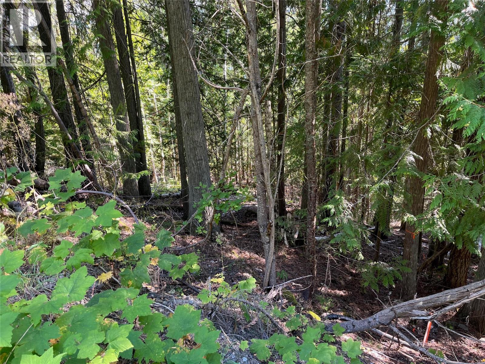 Lot 43 Vickers Trail Lot# 43, Anglemont, British Columbia  V0E 1M8 - Photo 2 - 10361471