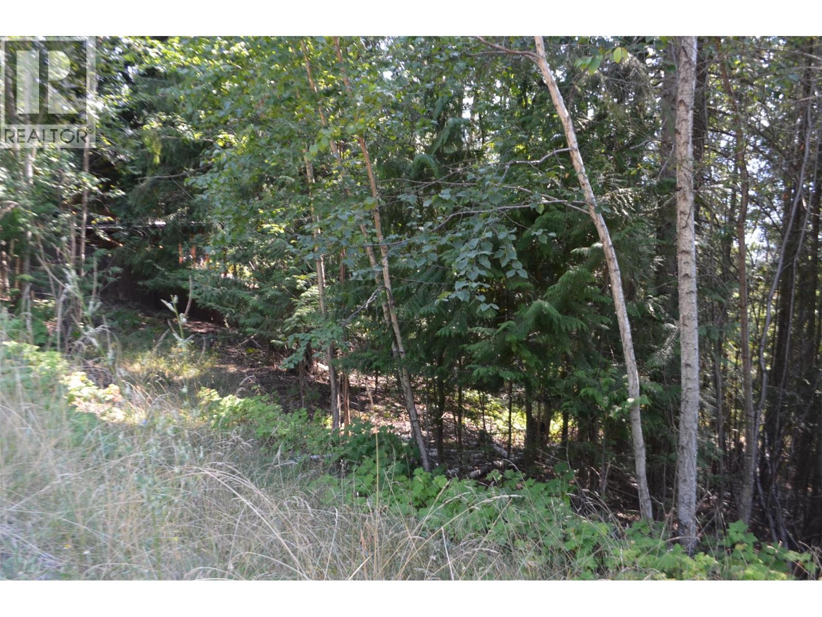 Fraser Road Lot# 59, Anglemont, British Columbia  V0E 1M8 - Photo 2 - 10361566