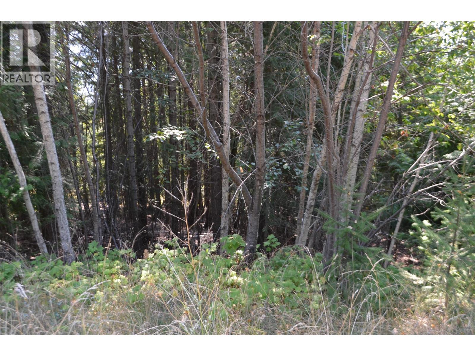 Fraser Road Lot# 59, Anglemont, British Columbia  V0E 1M8 - Photo 3 - 10361566