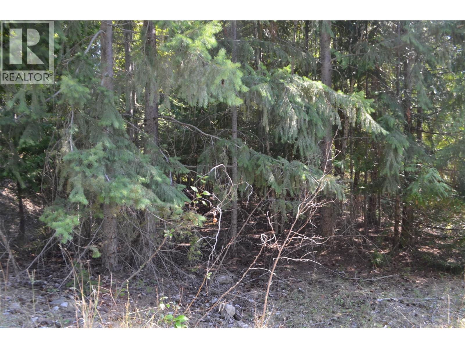 Fraser Road Lot# 59, Anglemont, British Columbia  V0E 1M8 - Photo 5 - 10361566