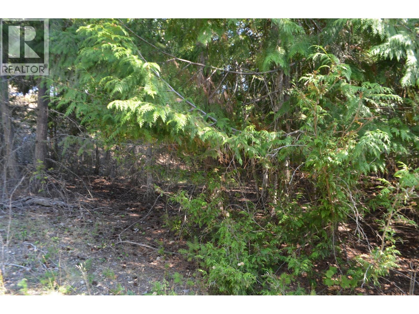 Fraser Road Lot# 59, Anglemont, British Columbia  V0E 1M8 - Photo 7 - 10361566