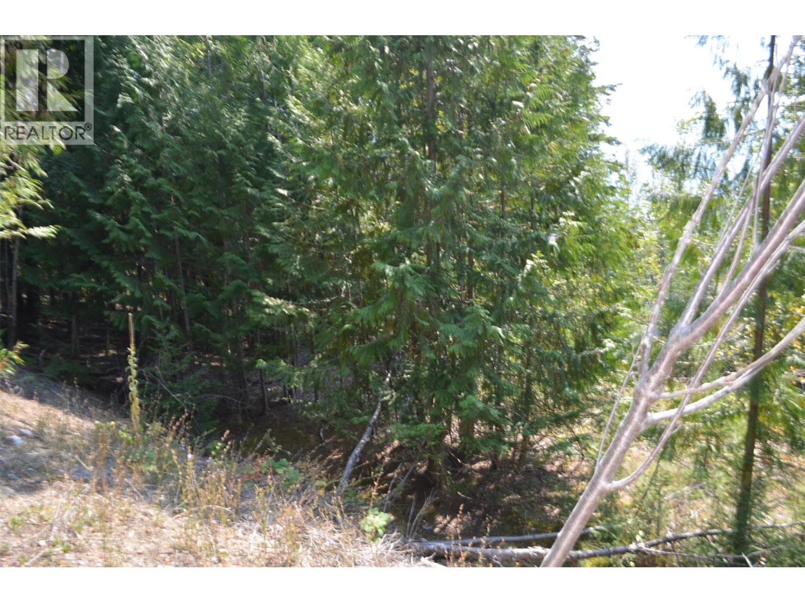 Fraser Road Lot# 59, Anglemont, British Columbia  V0E 1M8 - Photo 9 - 10361566