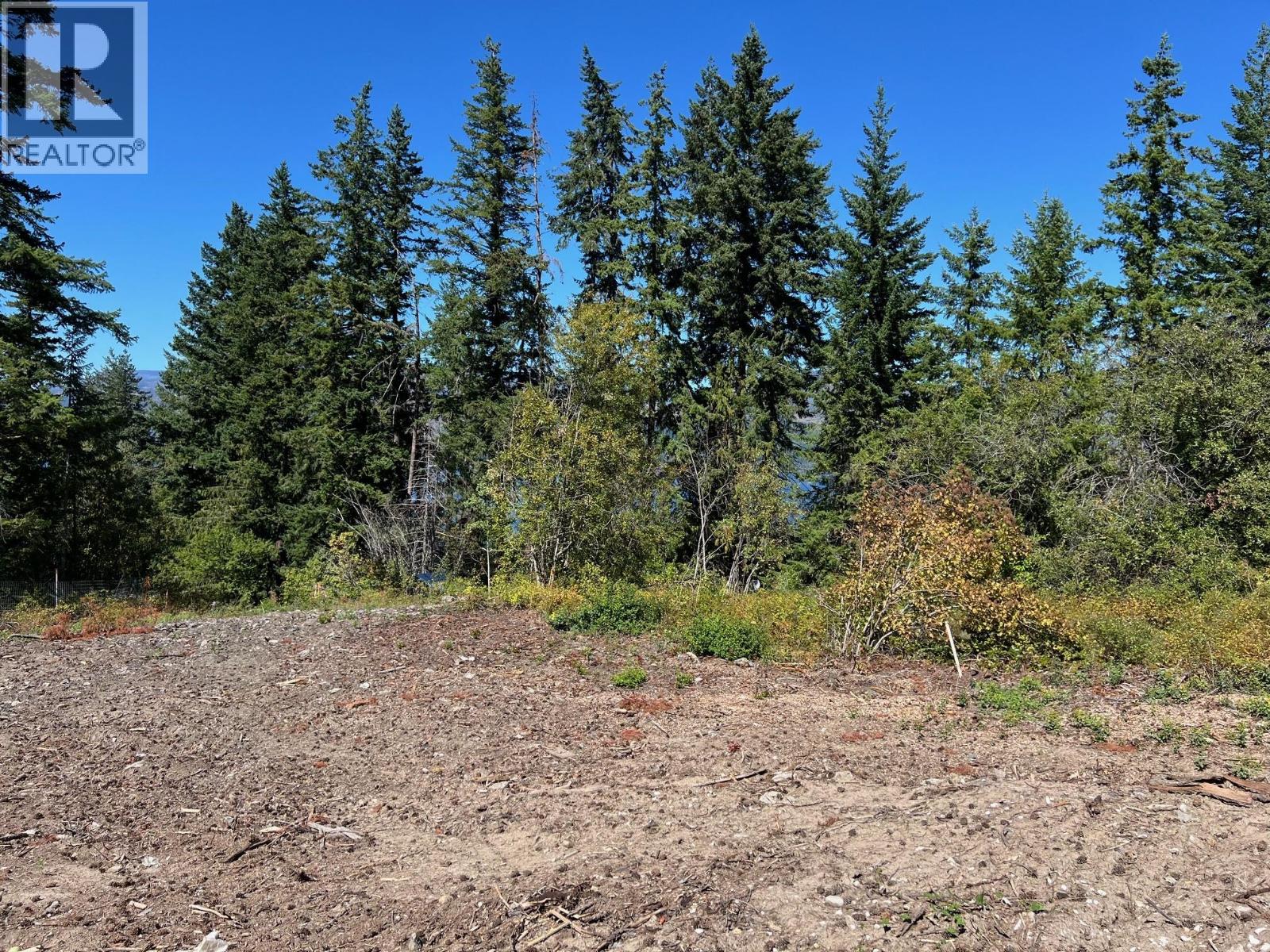 2221 Lakeview Drive, Blind Bay, British Columbia  V0E 2W2 - Photo 8 - 10361765