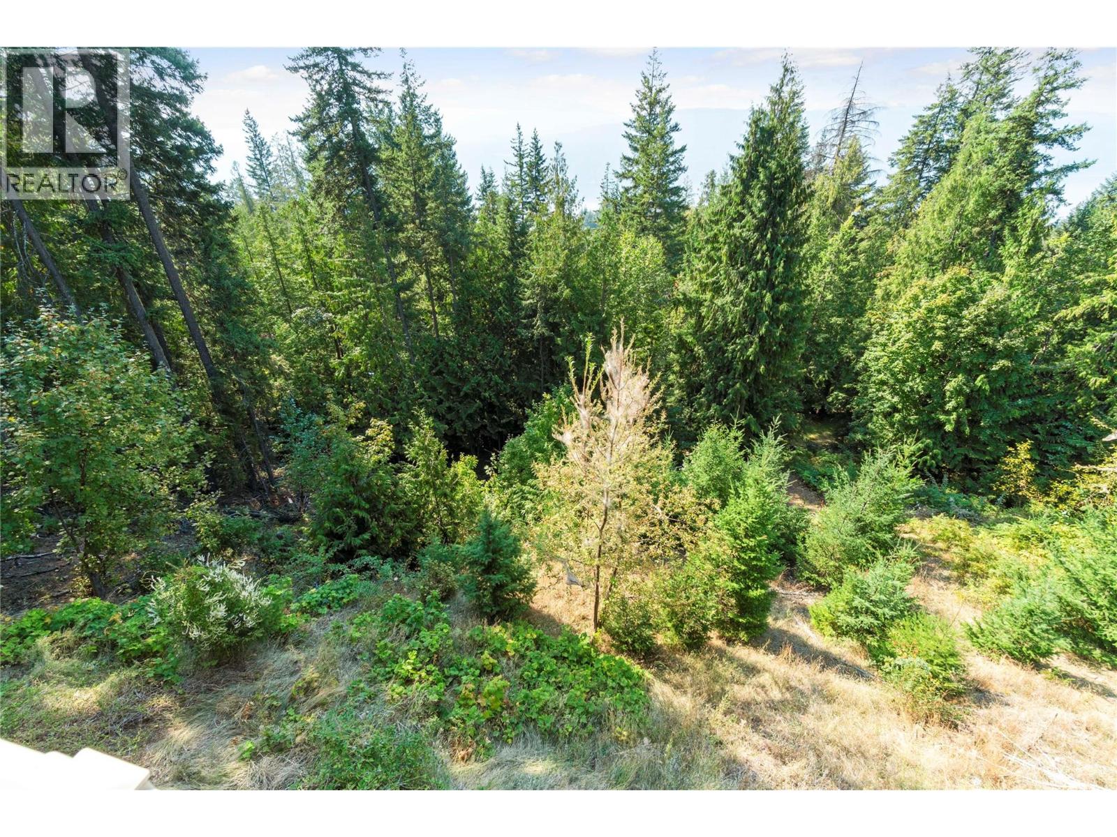 7666 Lichen Road, Anglemont, British Columbia  V0E 1M8 - Photo 9 - 10361752