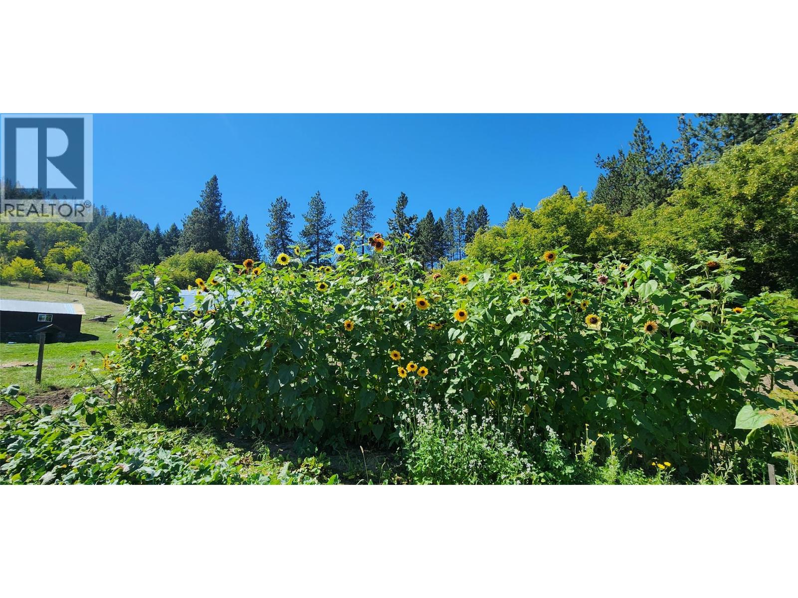 3450 Hardy Mountain Road, Grand Forks, British Columbia  V0H 1H2 - Photo 35 - 10361869