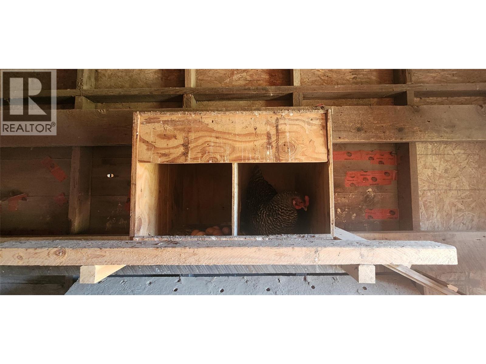 3450 Hardy Mountain Road, Grand Forks, British Columbia  V0H 1H2 - Photo 69 - 10361869