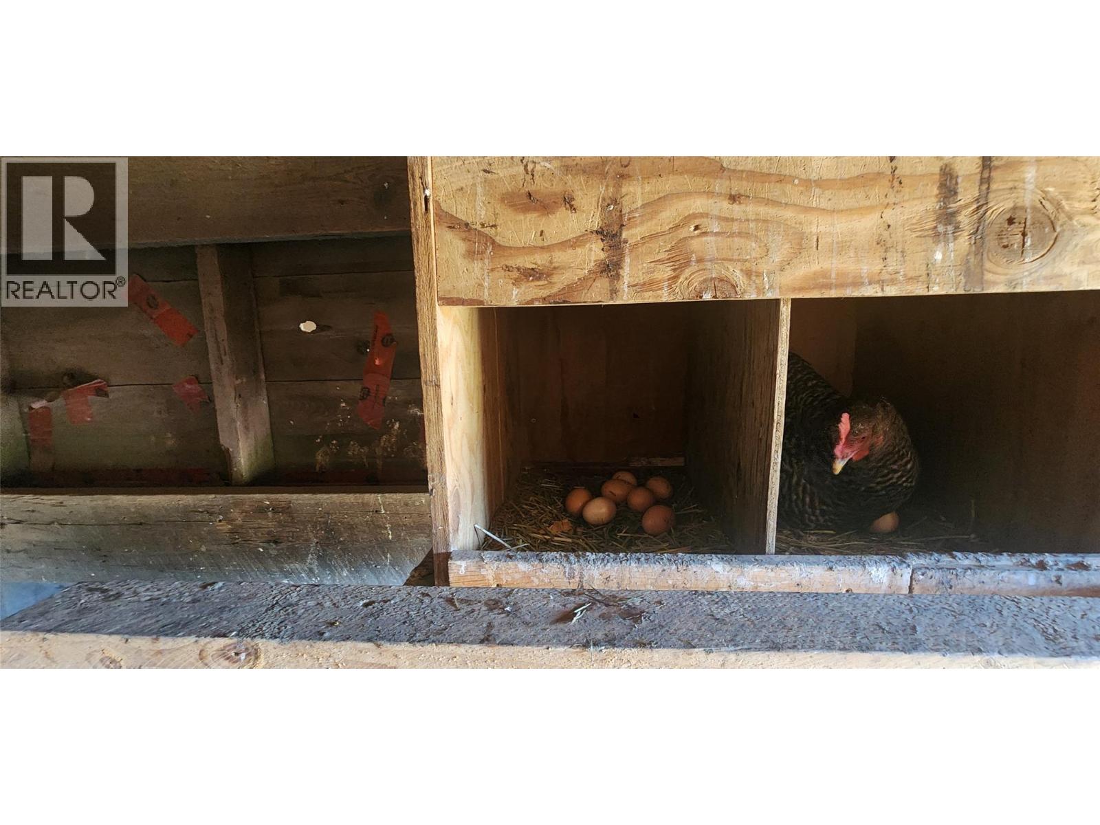 3450 Hardy Mountain Road, Grand Forks, British Columbia  V0H 1H2 - Photo 70 - 10361869