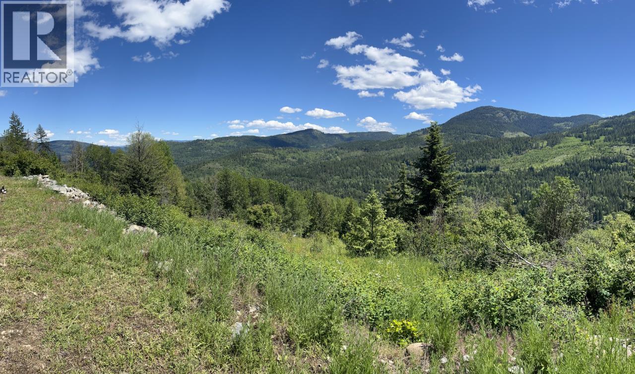 3b Highway Lot# 3, Rossland, British Columbia  V0G 1Y0 - Photo 14 - 10361542