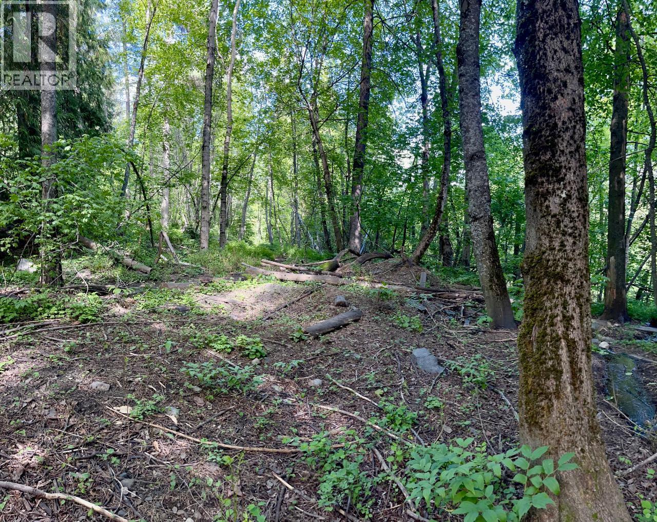 3b Highway Lot# 3, Rossland, British Columbia  V0G 1Y0 - Photo 17 - 10361542