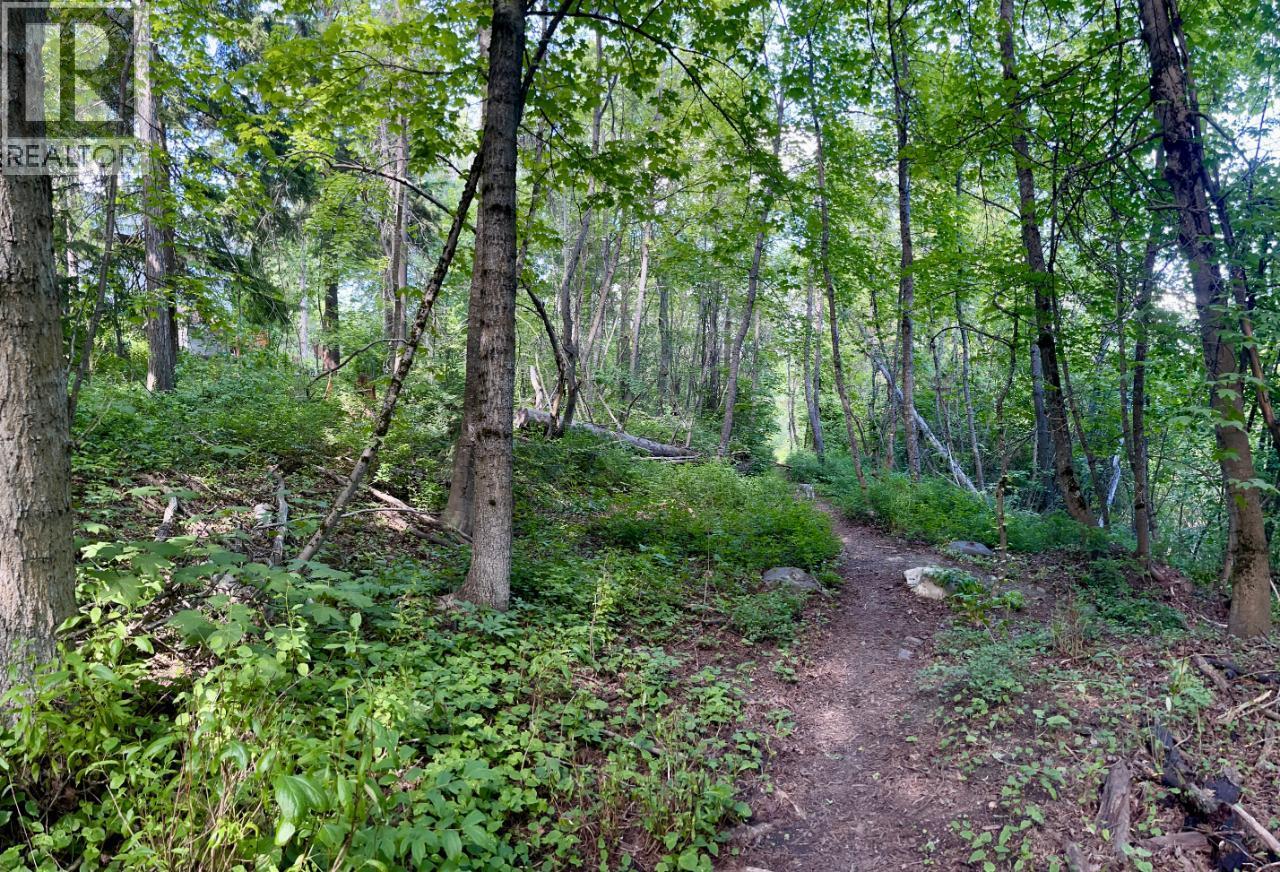 3b Highway Lot# 3, Rossland, British Columbia  V0G 1Y0 - Photo 18 - 10361542