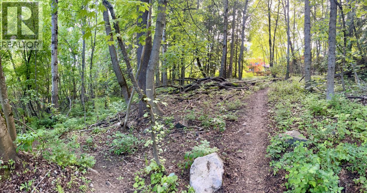 3b Highway Lot# 3, Rossland, British Columbia  V0G 1Y0 - Photo 19 - 10361542