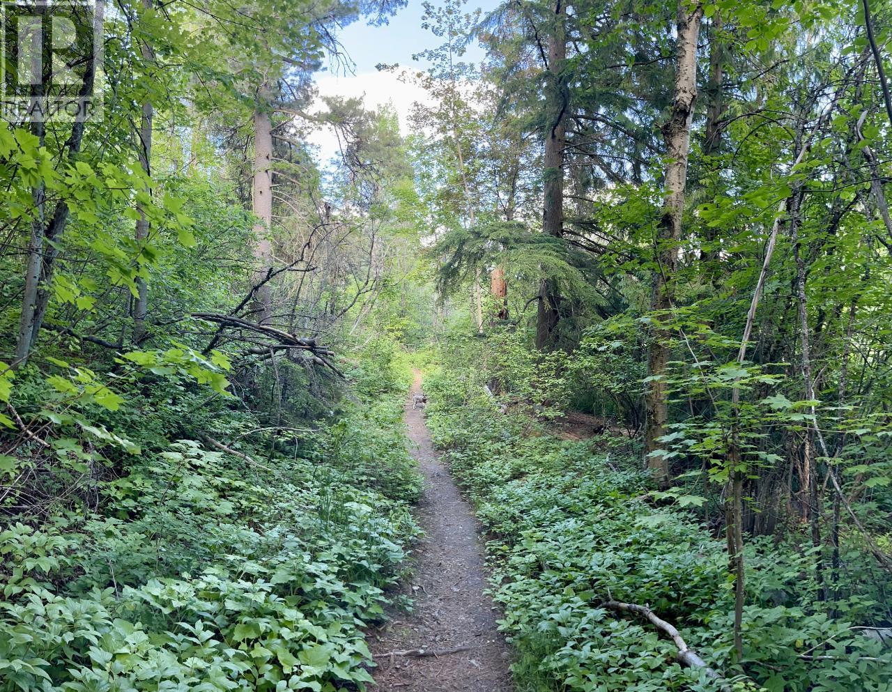 3b Highway Lot# 3, Rossland, British Columbia  V0G 1Y0 - Photo 20 - 10361542