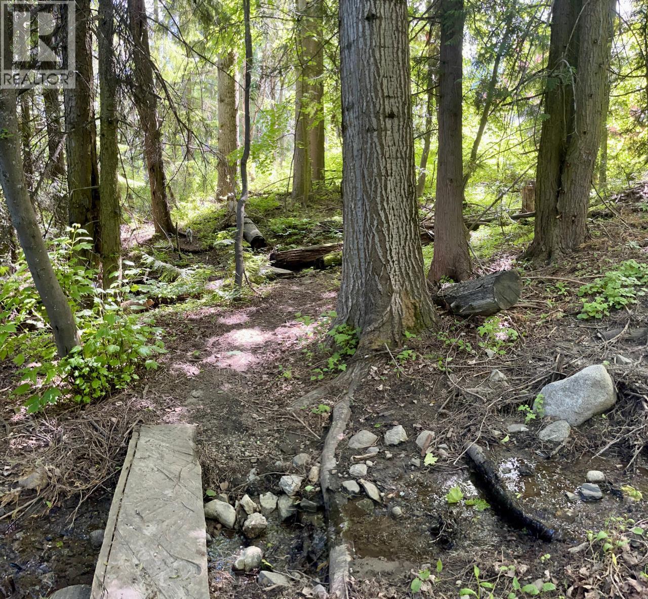 3b Highway Lot# 3, Rossland, British Columbia  V0G 1Y0 - Photo 22 - 10361542