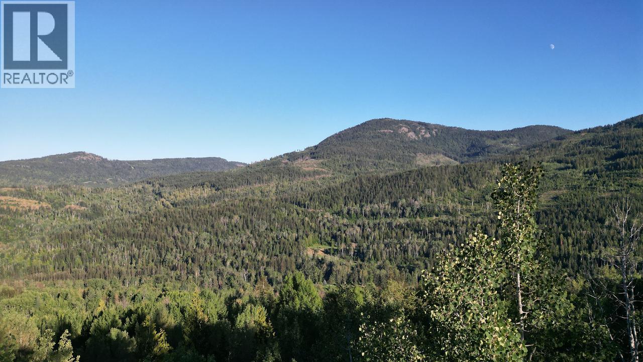 3b Highway Lot# 3, Rossland, British Columbia  V0G 1Y0 - Photo 27 - 10361542