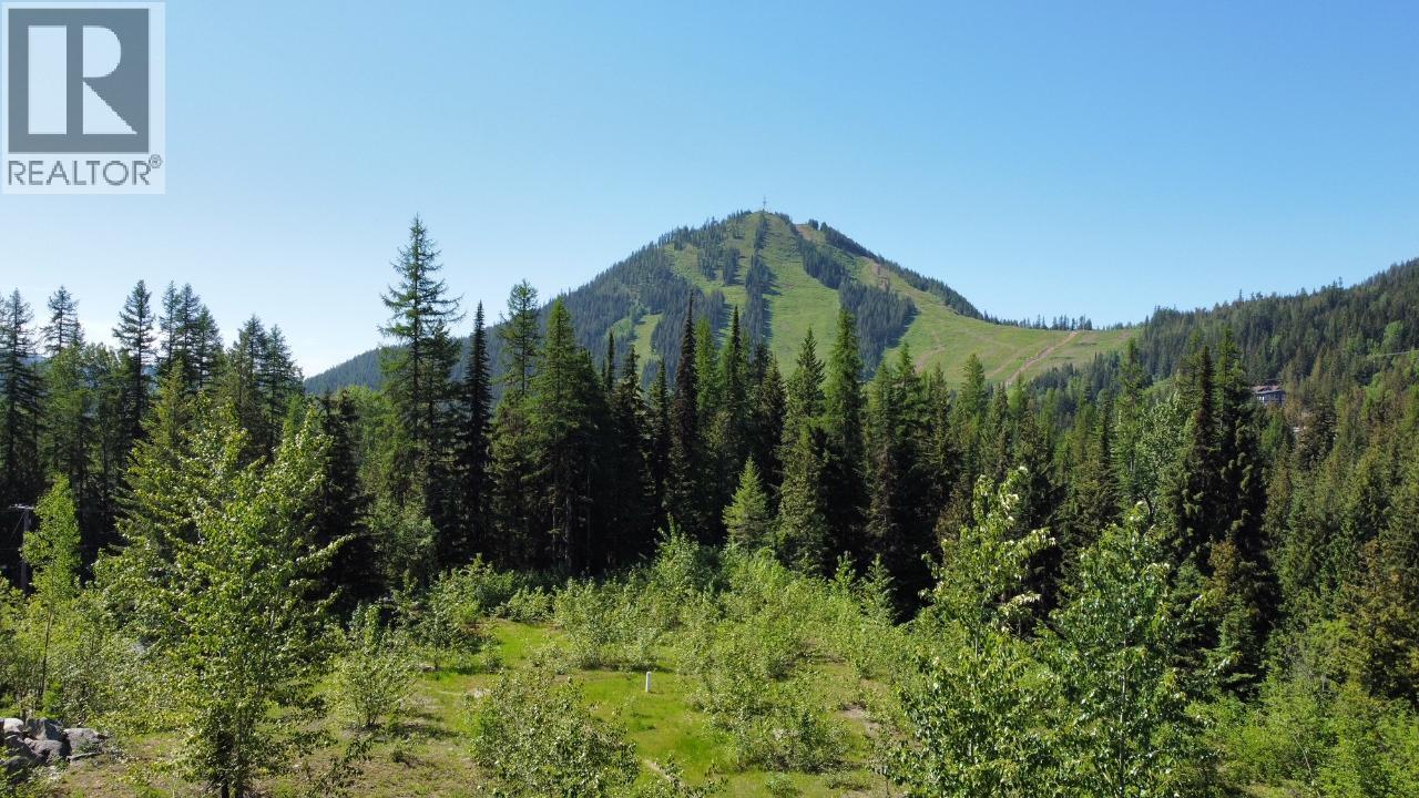Lot 2 Granite View Road, Rossland, British Columbia  V0G 1Y0 - Photo 13 - 10362019