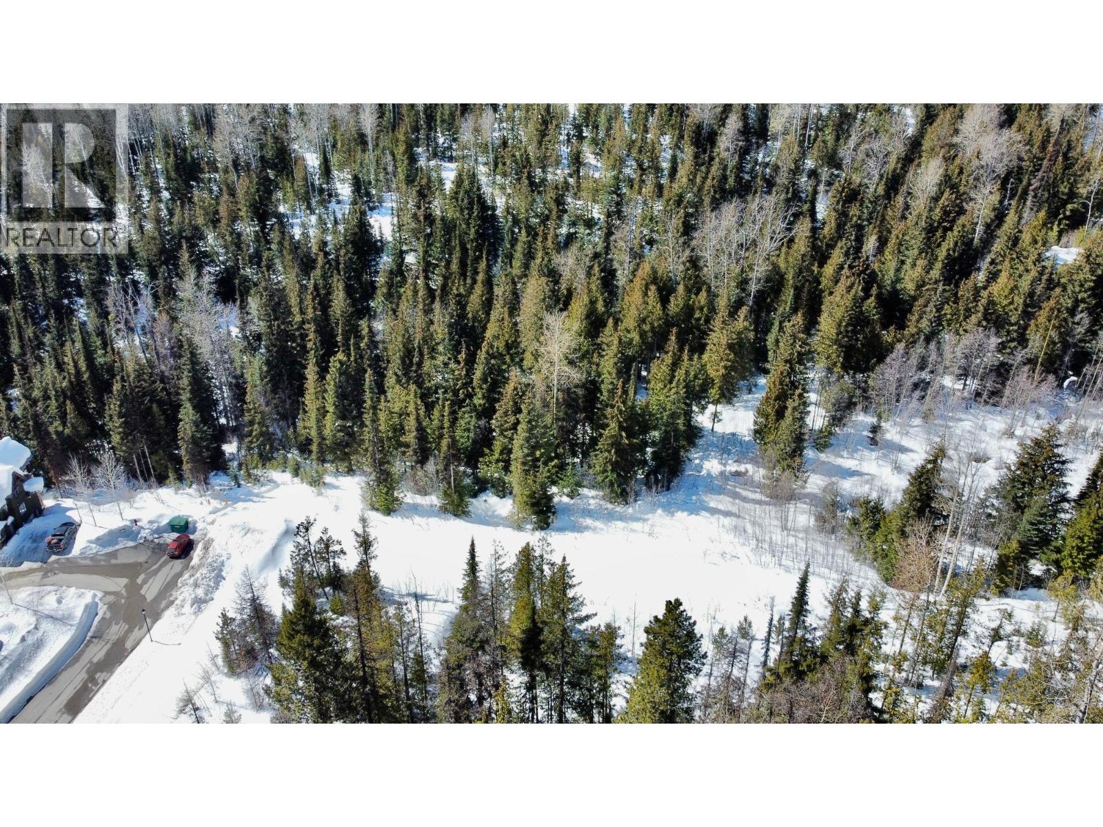 Lot 2 Granite View Road, Rossland, British Columbia  V0G 1Y0 - Photo 19 - 10362019