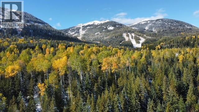 Lot 2 Granite View Road, Rossland, British Columbia  V0G 1Y0 - Photo 3 - 10362019