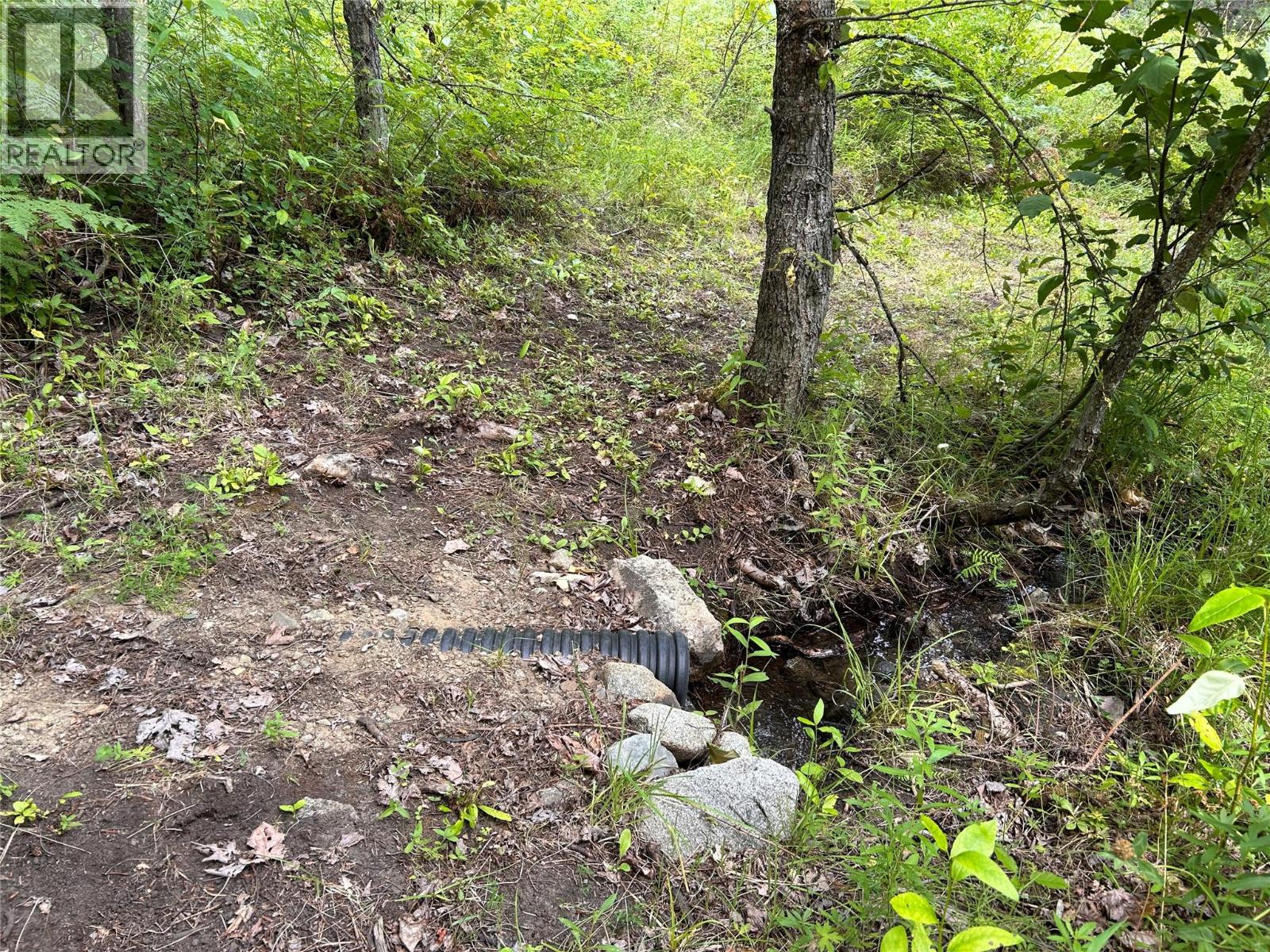 2715 3b Highway, Rossland, British Columbia  V0G 1Y0 - Photo 37 - 10356557