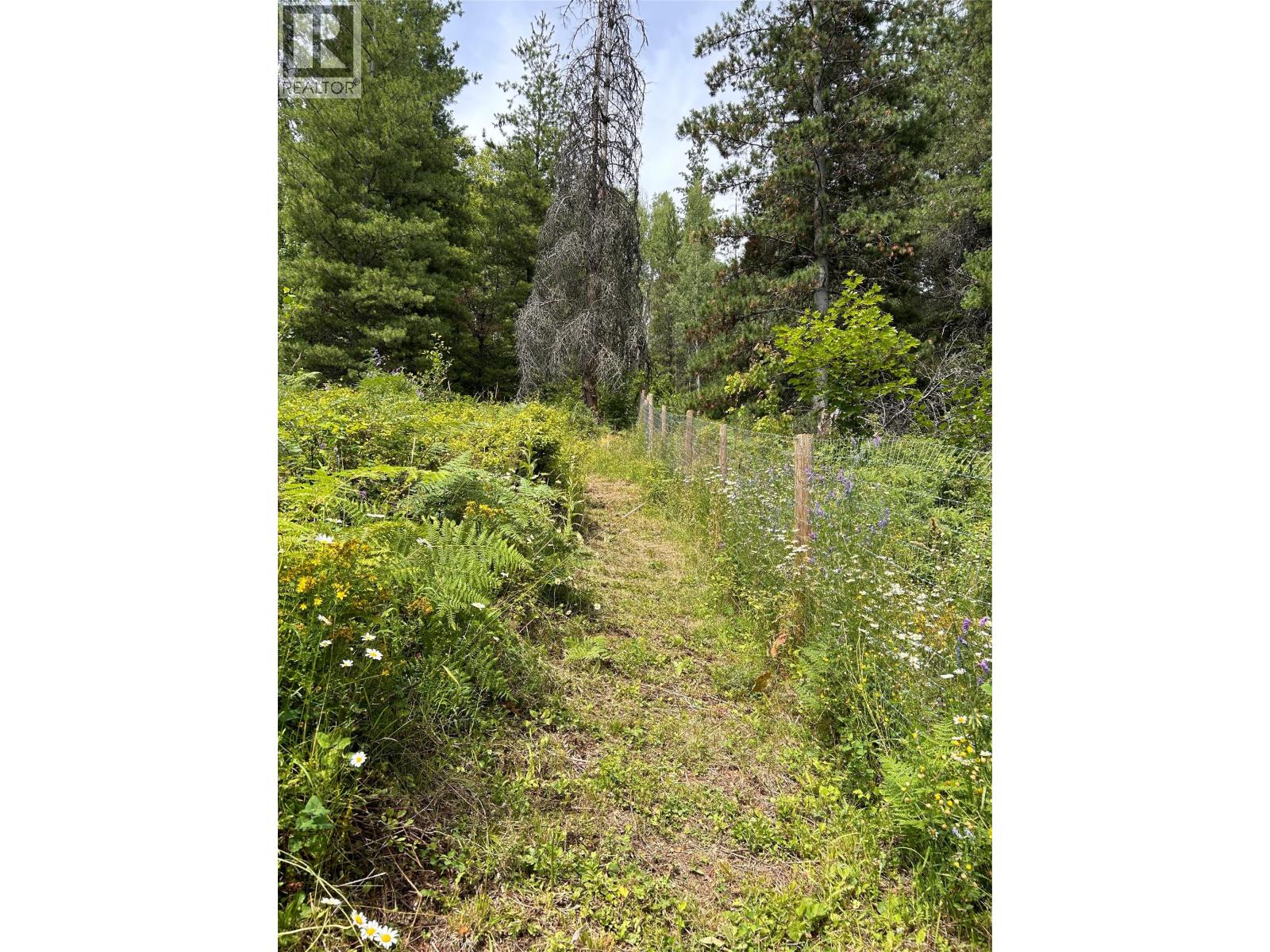 2715 3b Highway, Rossland, British Columbia  V0G 1Y0 - Photo 39 - 10356557
