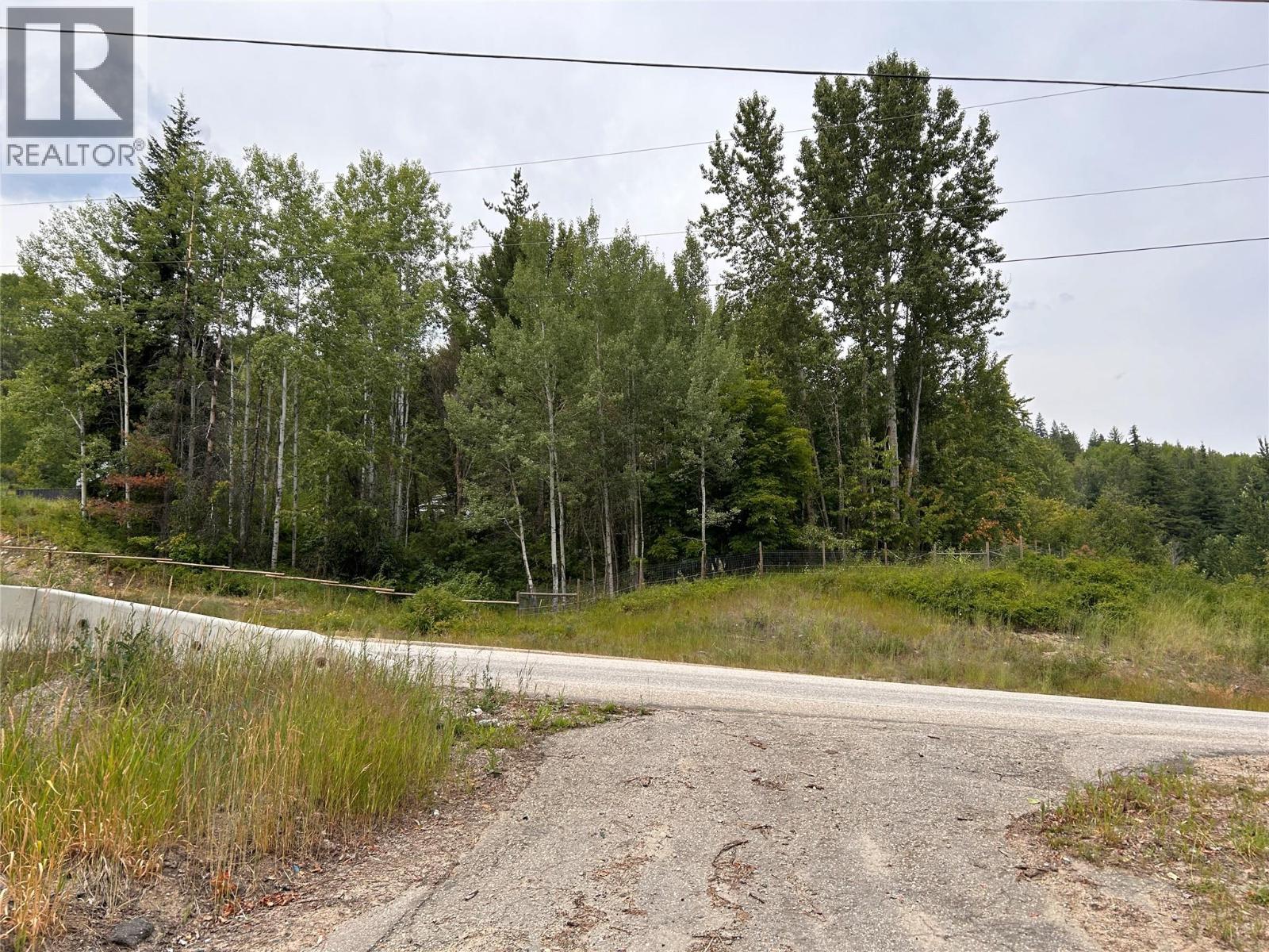 2715 3b Highway, Rossland, British Columbia  V0G 1Y0 - Photo 46 - 10356557