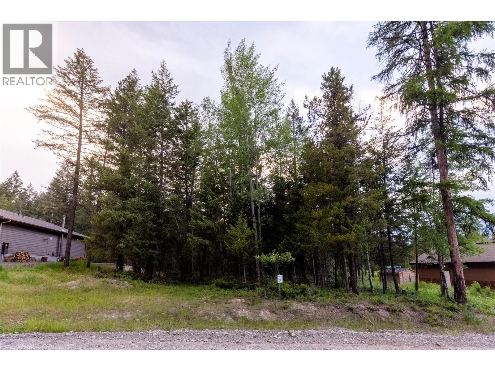 Lot 80 Osprey Landing Court, Wardner, British Columbia  V0B 2J0 - Photo 14 - 10362749