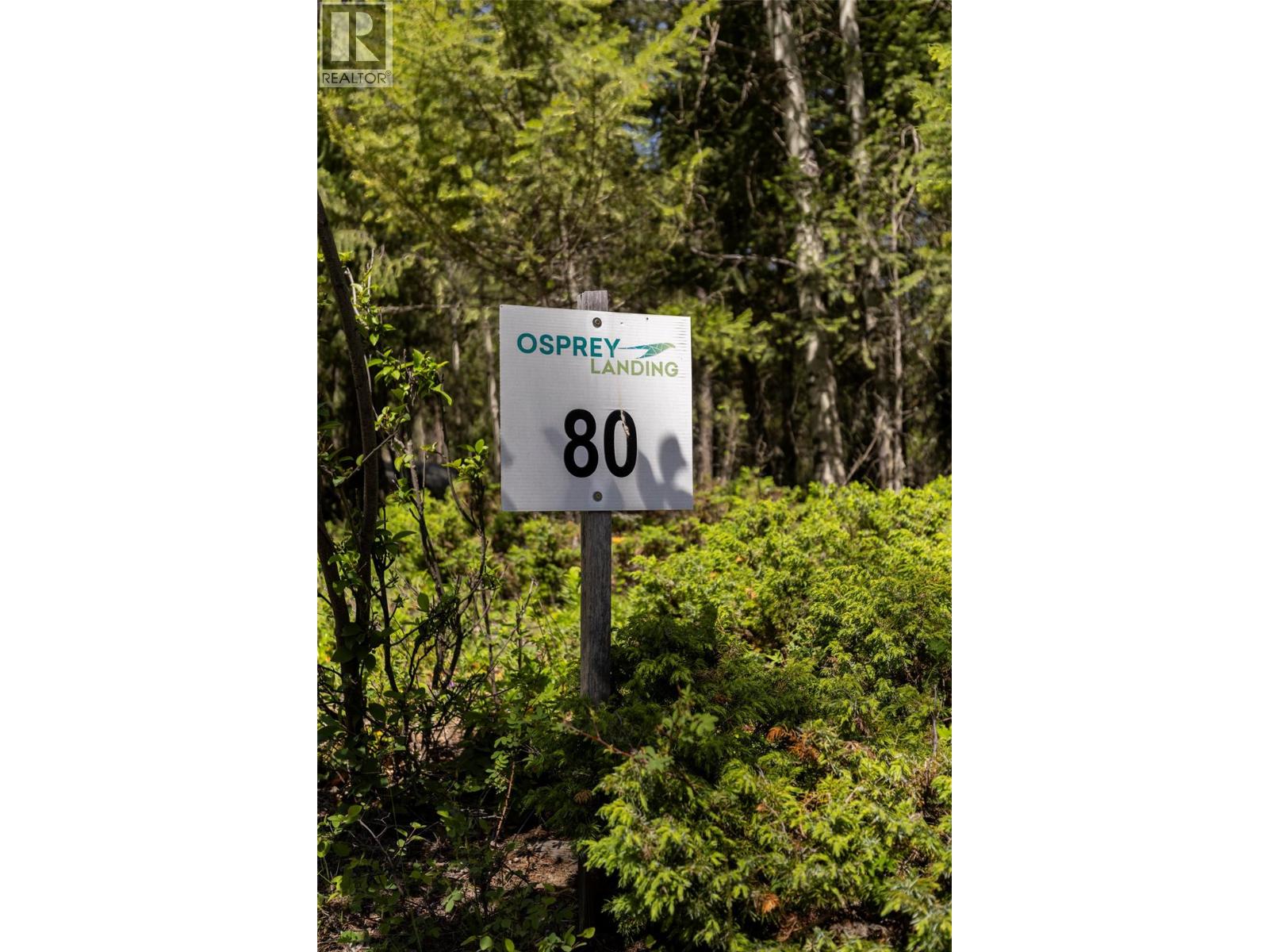 Lot 80 Osprey Landing Court, Wardner, British Columbia  V0B 2J0 - Photo 19 - 10362749