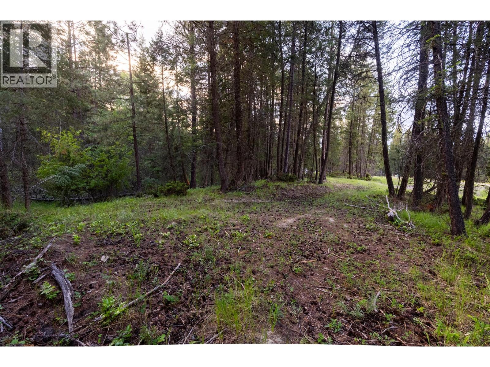 Lot 80 Osprey Landing Court, Wardner, British Columbia  V0B 2J0 - Photo 8 - 10362749