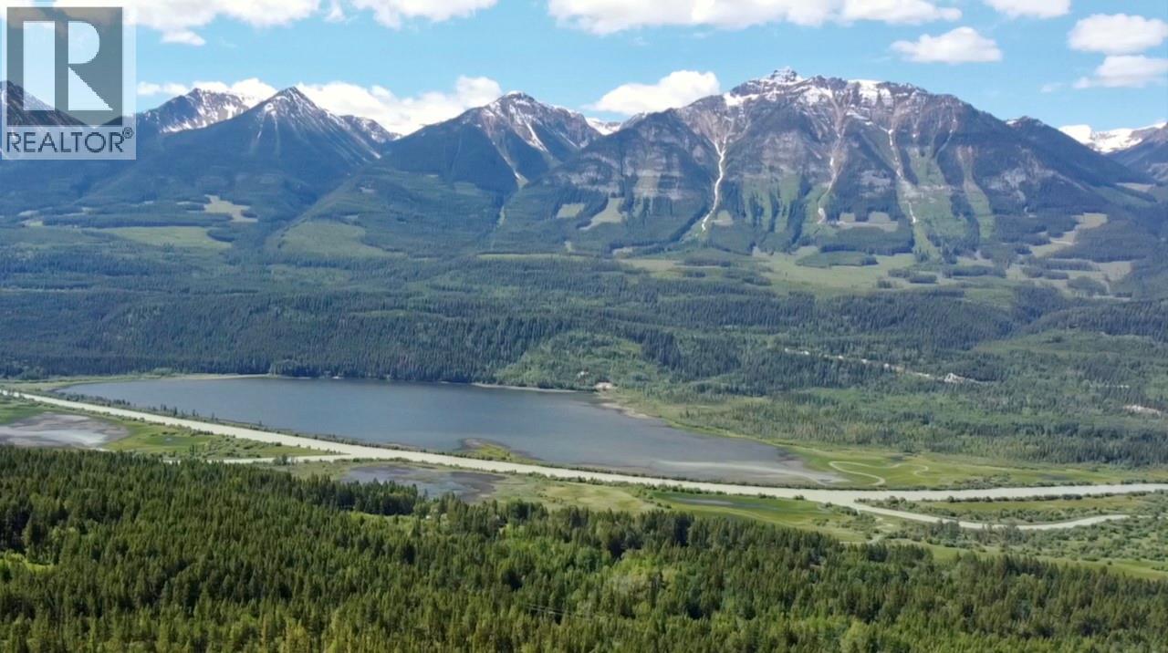 1445 Black Bear Drive, Golden, British Columbia  V0A 1H7 - Photo 4 - 10362598