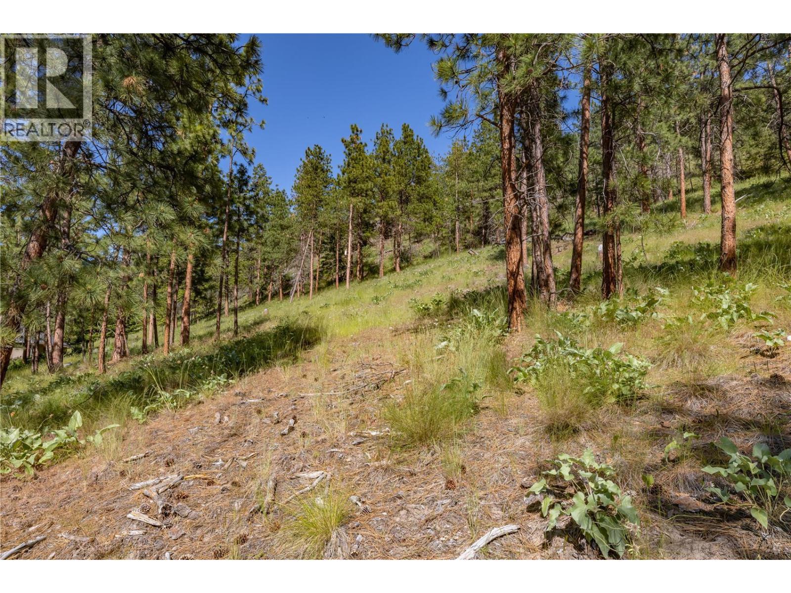 2455 Arthur Court, Kelowna, British Columbia  V1Y 7S2 - Photo 7 - 10362775