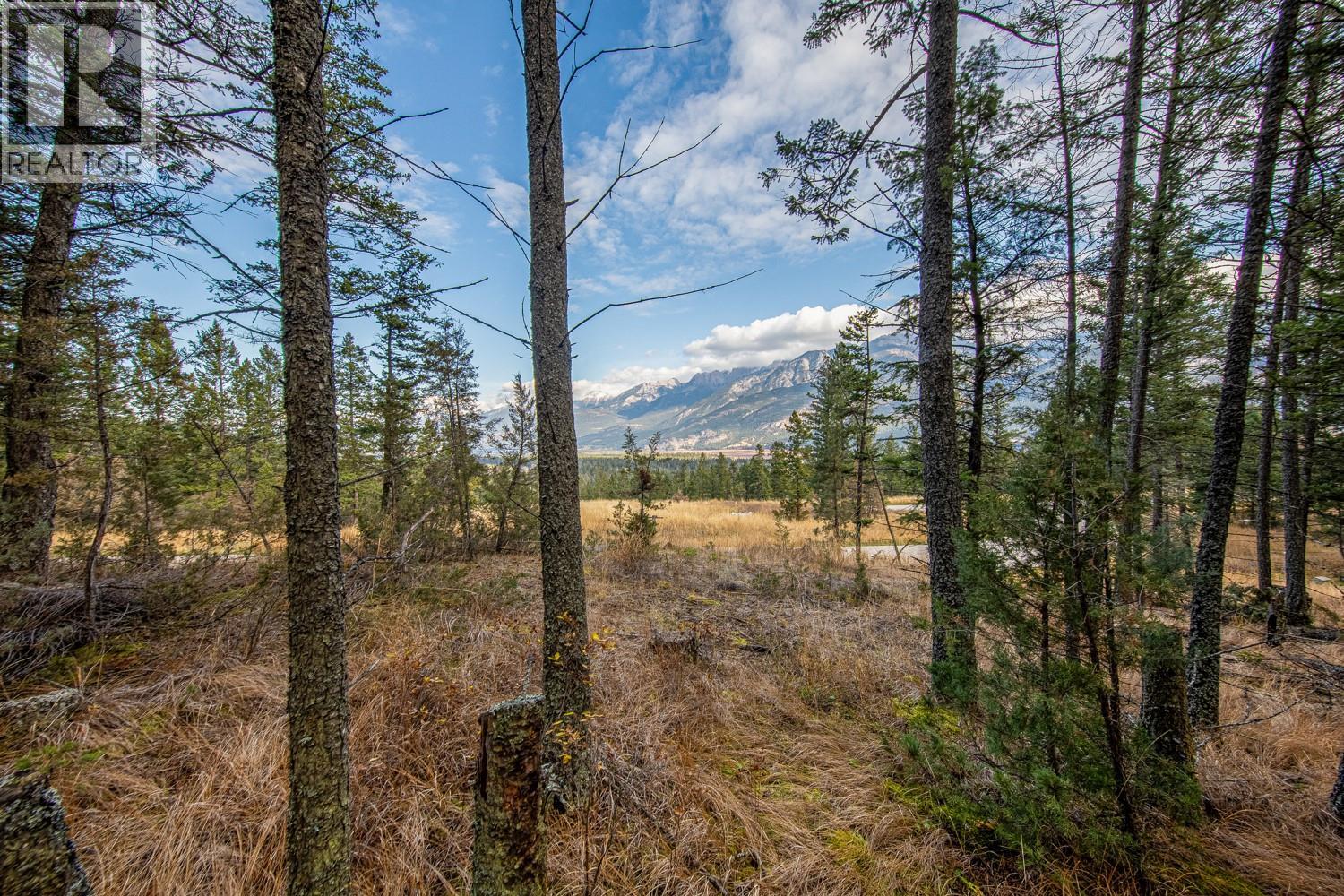 Lot 24 Valley Vista Way, Fairmont Hot Springs, British Columbia  V0B 1L0 - Photo 15 - 10362675