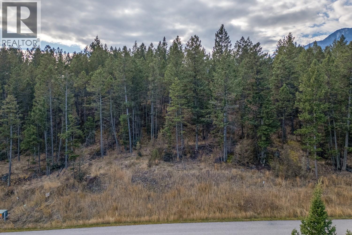 Lot 24 Valley Vista Way, Fairmont Hot Springs, British Columbia  V0B 1L0 - Photo 6 - 10362675