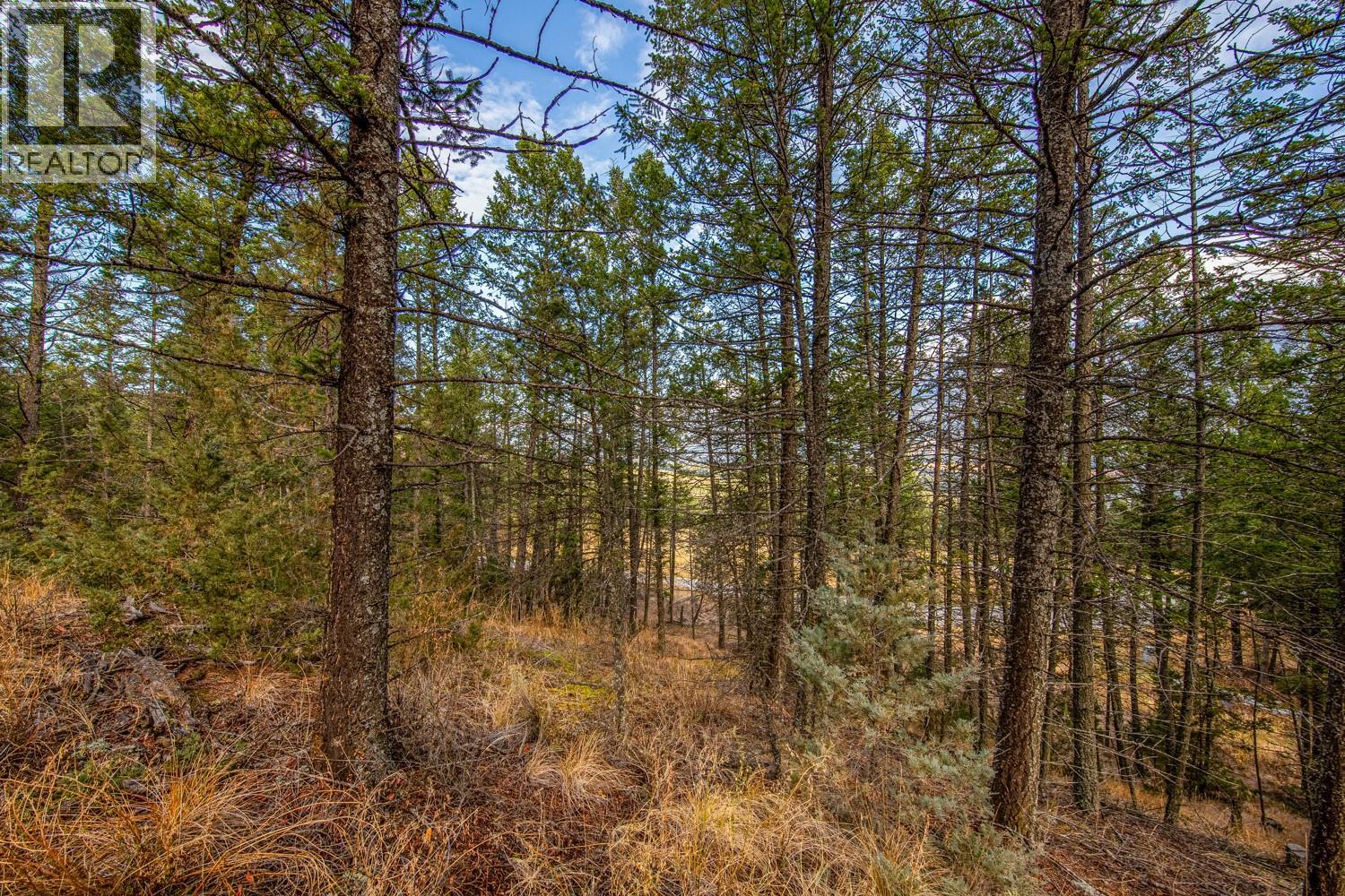 Lot 24 Valley Vista Way, Fairmont Hot Springs, British Columbia  V0B 1L0 - Photo 8 - 10362675