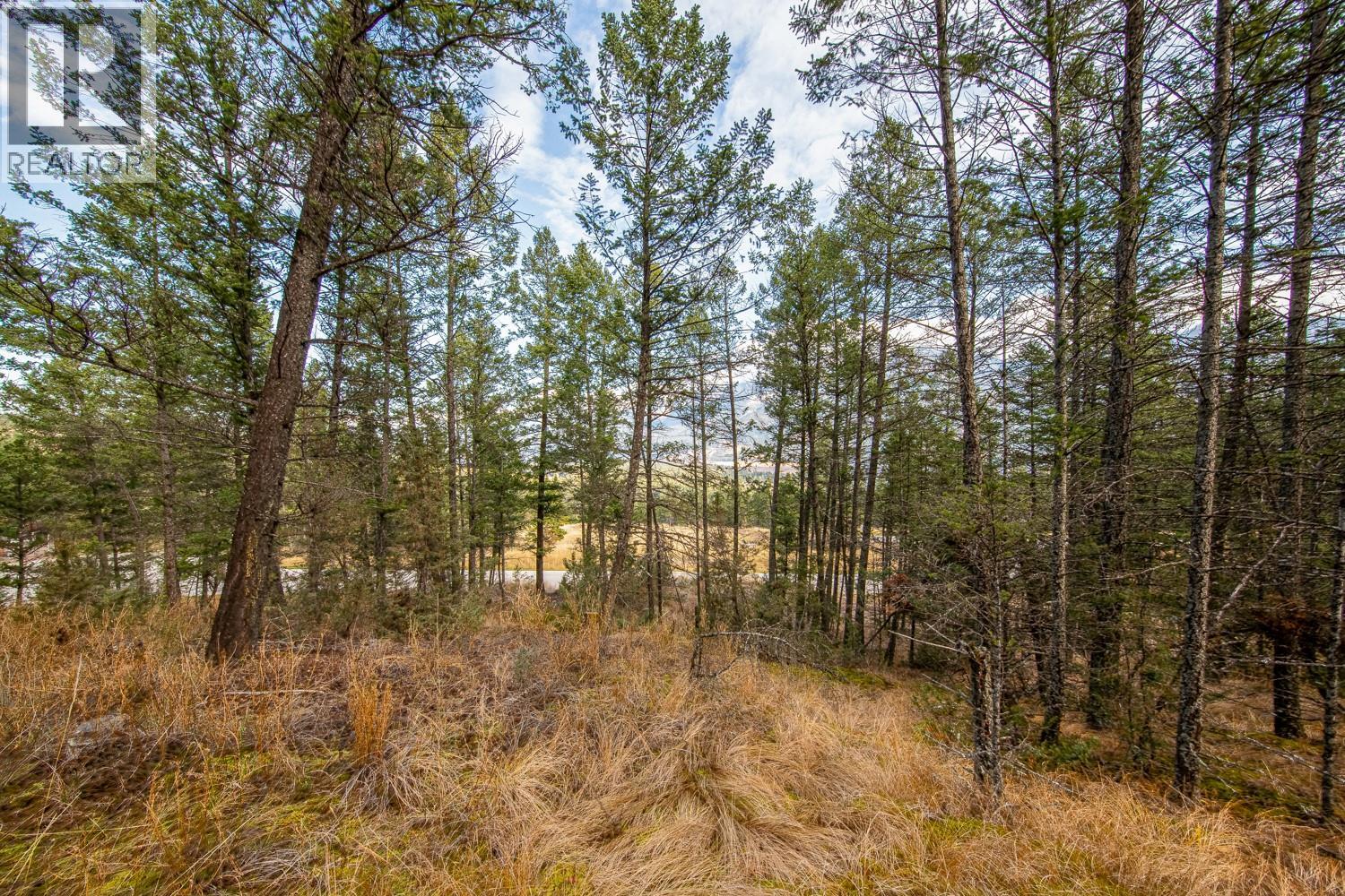 Lot 24 Valley Vista Way, Fairmont Hot Springs, British Columbia  V0B 1L0 - Photo 9 - 10362675