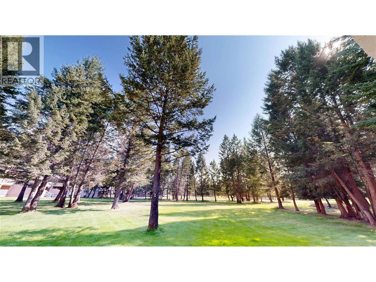 4850 Mckay Street Unit# 2, Radium Hot Springs, British Columbia  V0A 1M0 - Photo 17 - 10362907