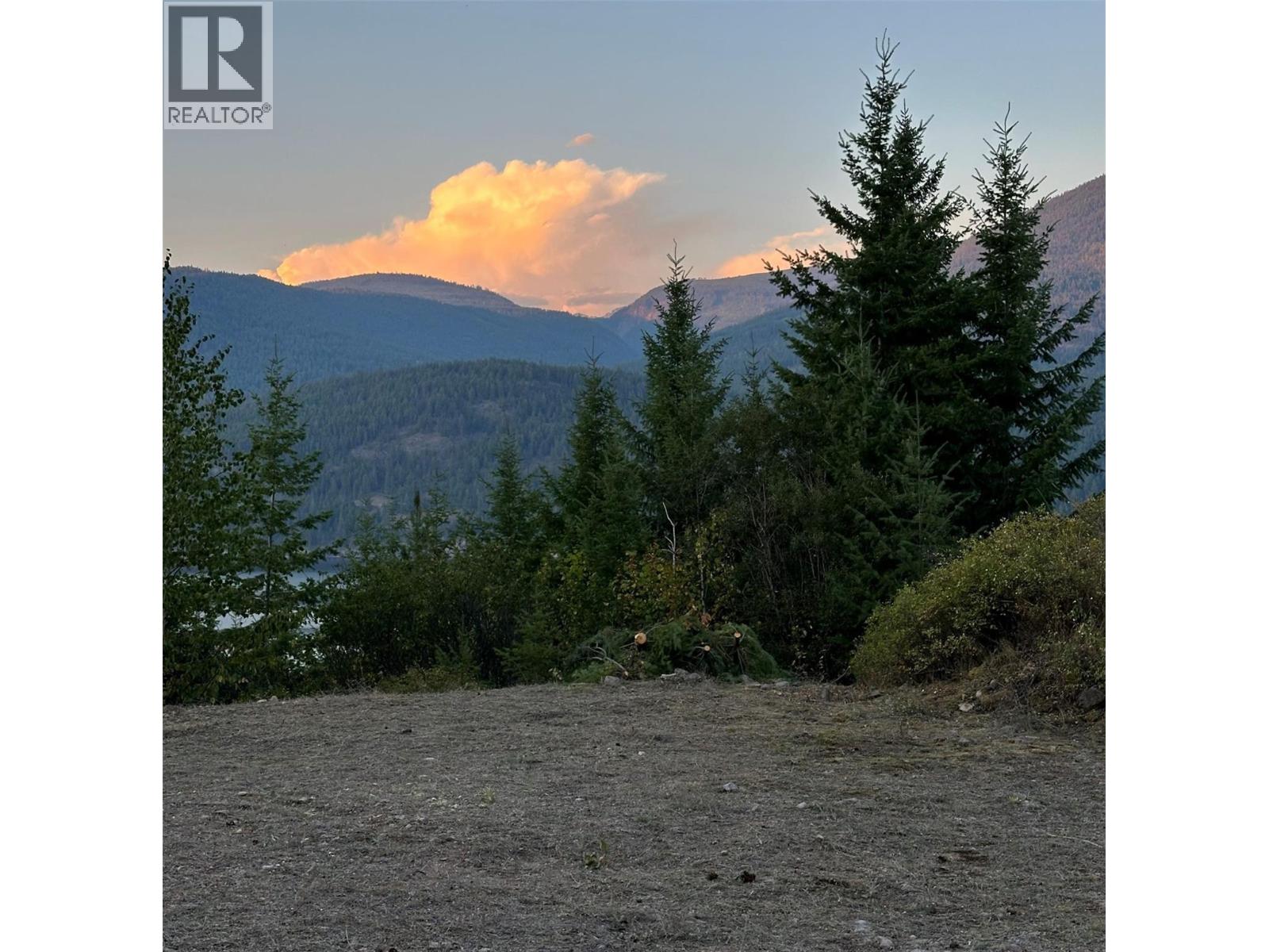 200 Lower Arrow Lake, Castlegar, British Columbia  V1N 4V8 - Photo 2 - 10362706