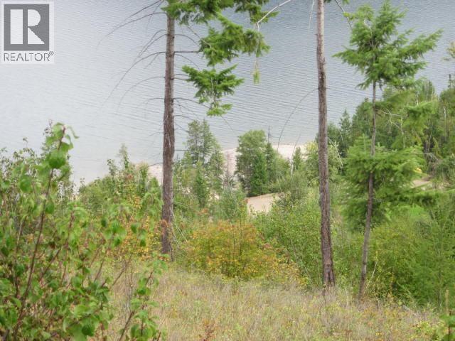 200 Lower Arrow Lake, Castlegar, British Columbia  V1N 4V8 - Photo 20 - 10362706