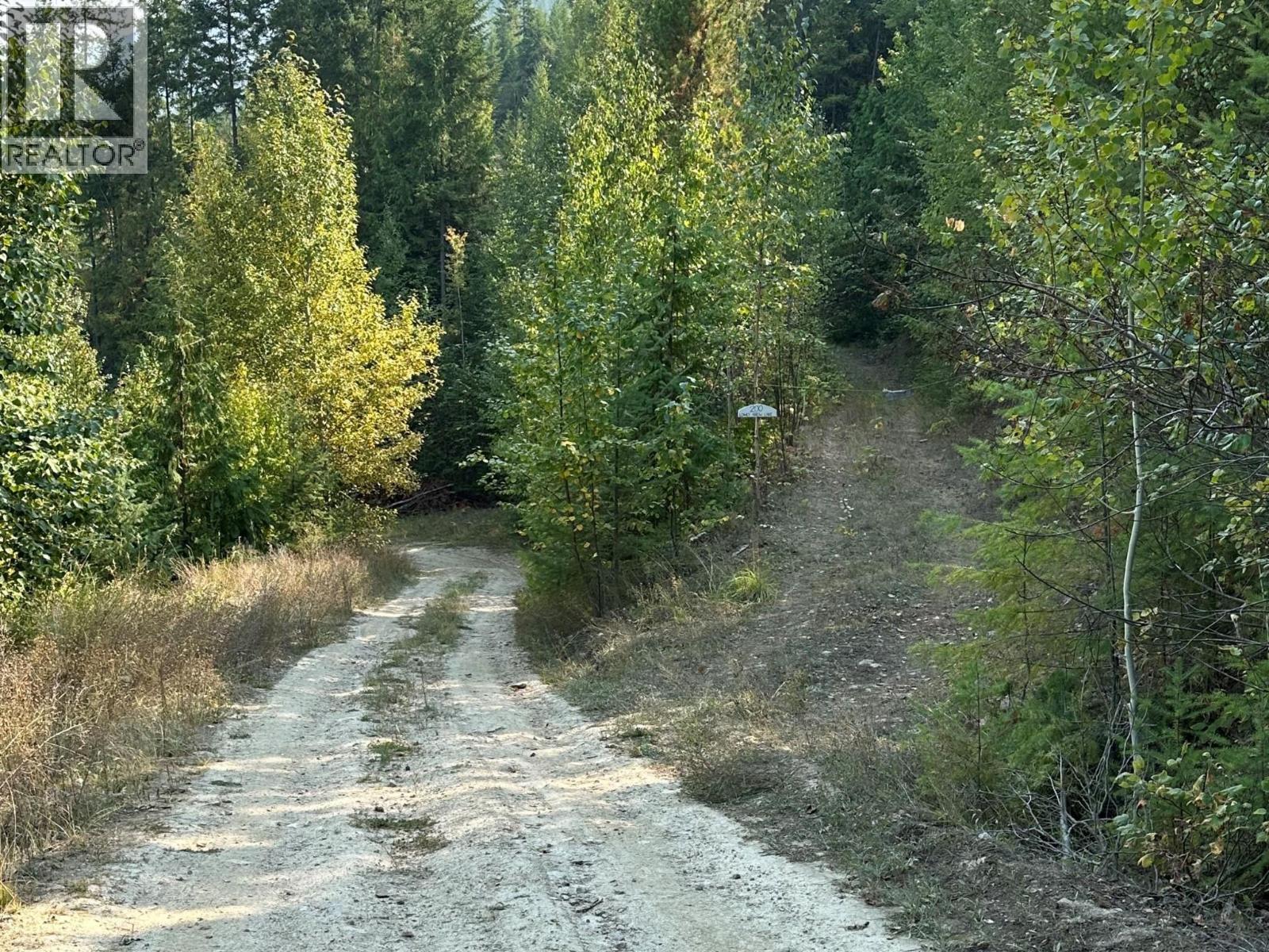 200 Lower Arrow Lake, Castlegar, British Columbia  V1N 4V8 - Photo 3 - 10362706