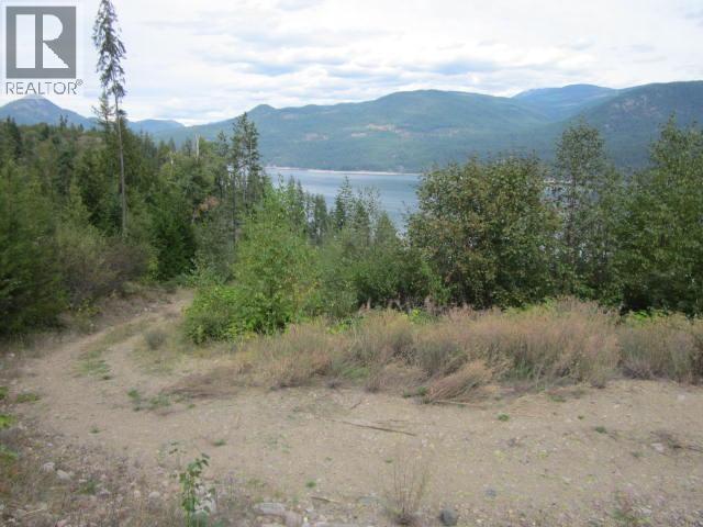 200 Lower Arrow Lake, Castlegar, British Columbia  V1N 4V8 - Photo 5 - 10362706
