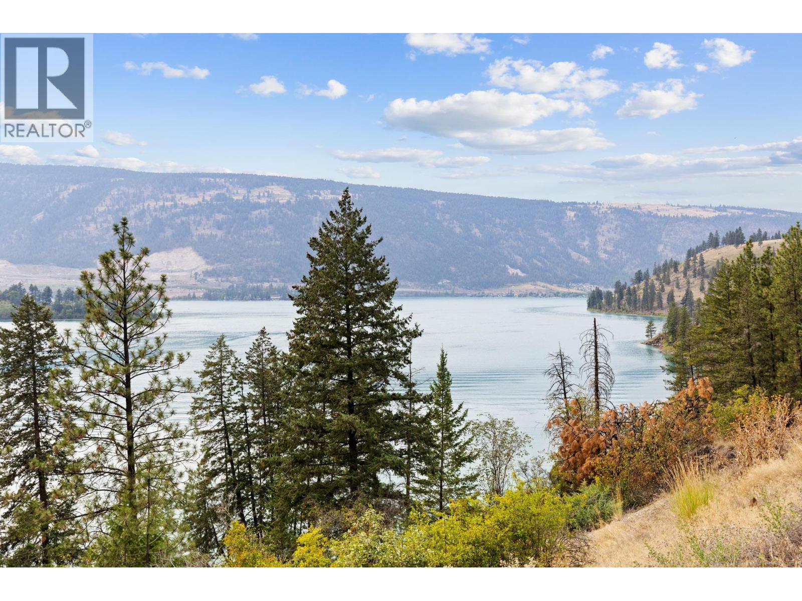 15799 Sawmill Road, Lake Country, British Columbia  V4V 2E2 - Photo 83 - 10362961