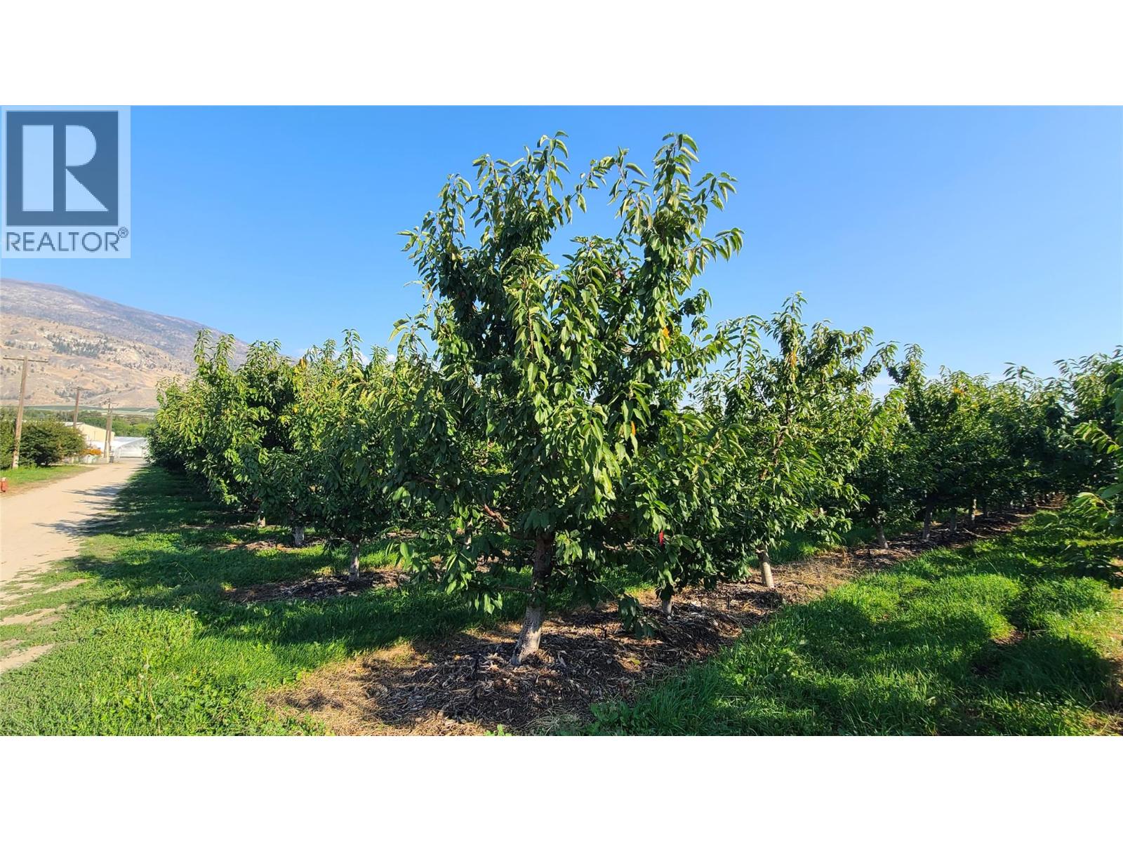 7298 97 Highway, Oliver, British Columbia  V0H 1T0 - Photo 10 - 10362673