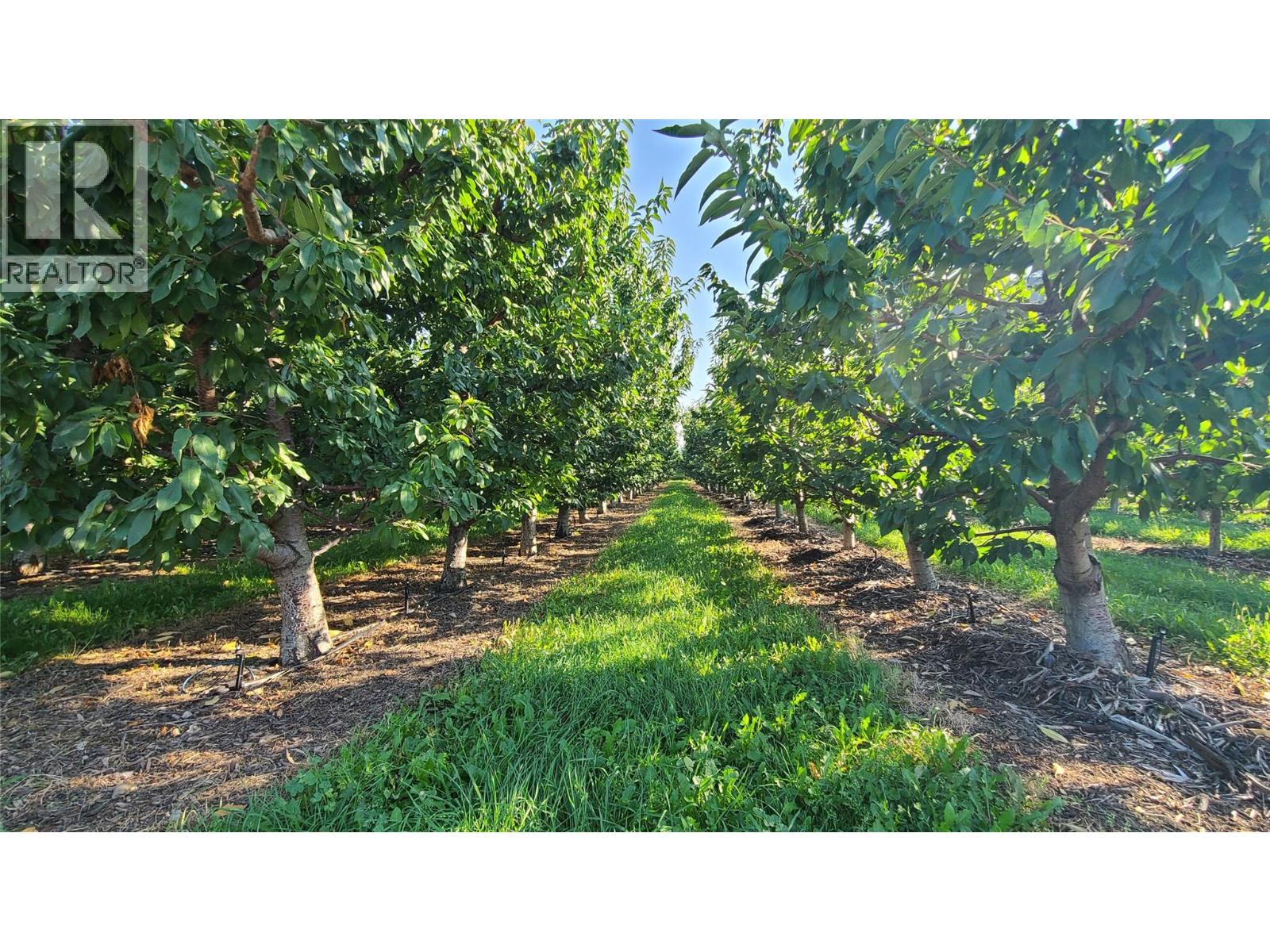 7298 97 Highway, Oliver, British Columbia  V0H 1T0 - Photo 12 - 10362673