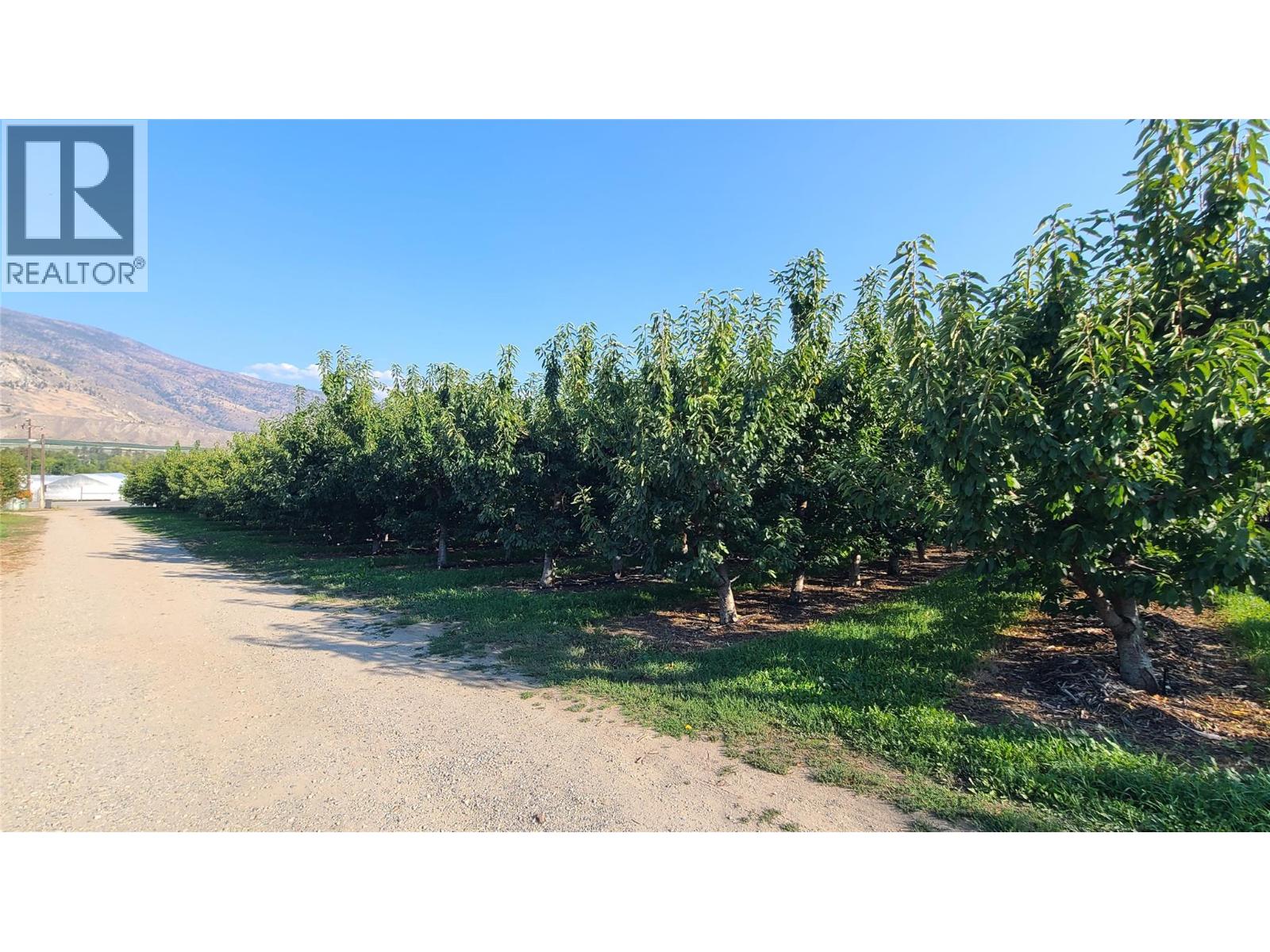 7298 97 Highway, Oliver, British Columbia  V0H 1T0 - Photo 14 - 10362673