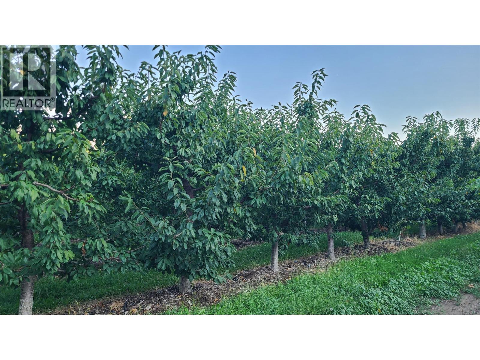 7298 97 Highway, Oliver, British Columbia  V0H 1T0 - Photo 18 - 10362673